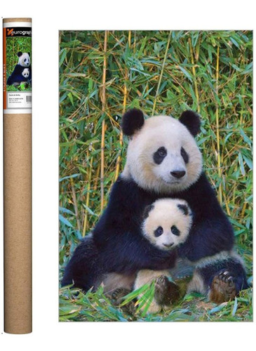 Panda Y El Bebe Oste  36 X 24 Ulgadas