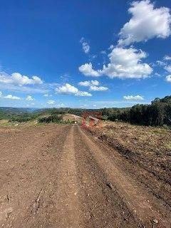 Imagem 5 de 16 de Terreno À Venda, 372 M² Por R$ 98.094,53 - Desvio Rizzo - Caxias Do Sul/rs - Te0218