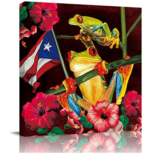 Pintura Lienzo Decorativa Rana Bandera De Puerto Rico F...