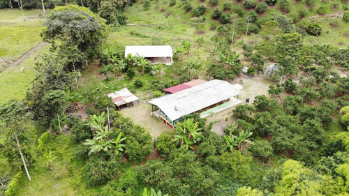 Se Vende Finca En V. La Rochela Calarcá Quindío