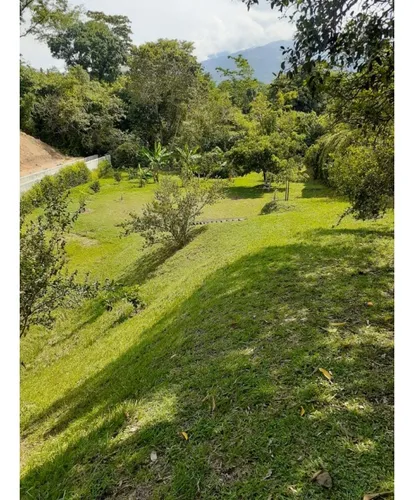 Finca San Jerónimo Sector Los Tamarindos