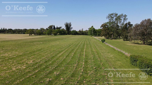Imagen 9 de 18 de Lote En Venta En El Pato - Barrio Residencial La Vikkina