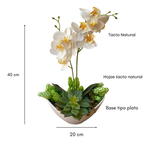 Orquídea Artificial Tacto Natural Arreglo Floral | Suculenta | Meses sin  intereses