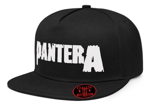 Gorra Plana Snapback Pantera Banda De Metal