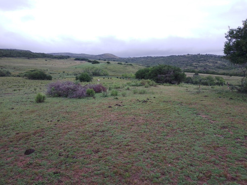 Campo De 153 Hectáreas En Maldonado
