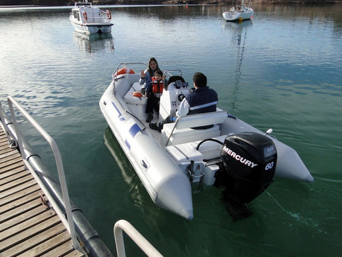 Viking De 4,6 Mts Con Mercury 40 Hp 4 Tiempos Full Full