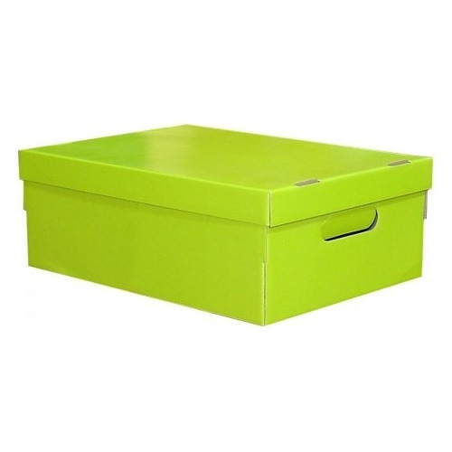 Caja Organizadora Lisa Plastificada Med 39x30x15 X Unidad