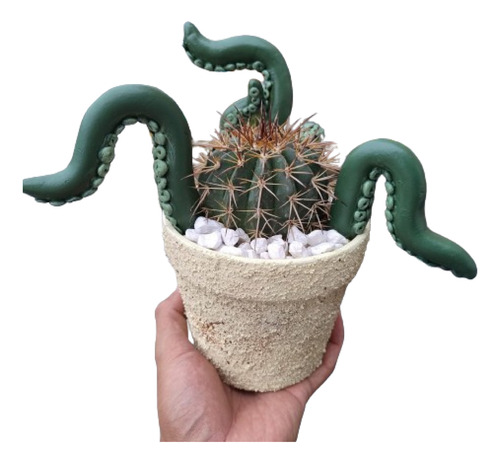 Maceta Cactus Pulpo