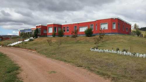 Chacra Con Muy Buena Casa Con Piscina