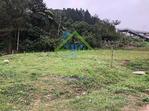 Imagem 3 de 4 de Terreno - Te00002 - 68176979