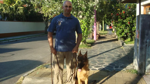 Adiestrador Canino Zona Sur