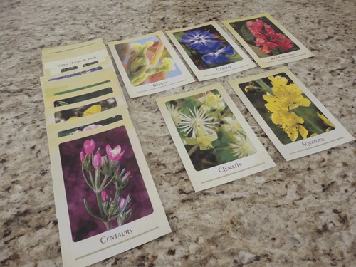 Florais De Bach Jogo 40 Cartas Cards Sem Texto P/ Dinâmicas
