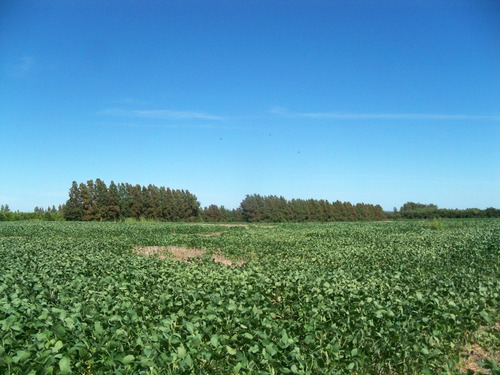 Imagen 4 de 10 de Chacras Venta Carmelo Paraje Colonia Estrella