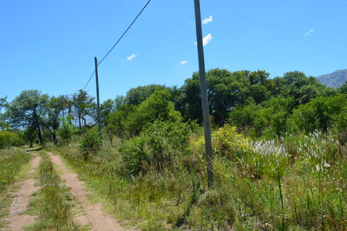 Imagen 5 de 8 de Lote De 500m2 En Los Molles