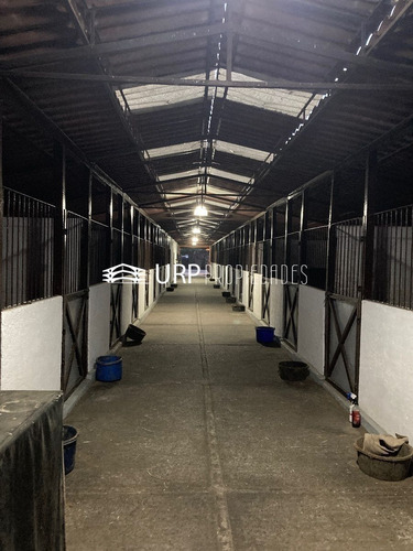 Hermoso Hípico San Luis Con 2 Casas