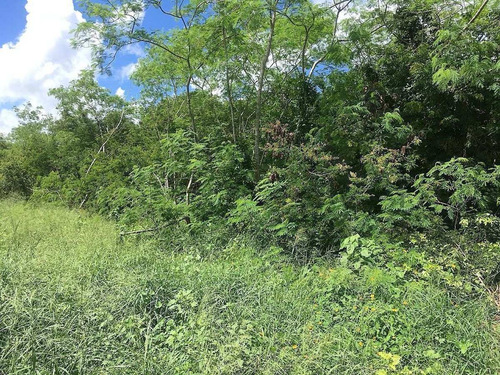 Imagen 7 de 8 de En Venta Terreno En Xcunya Al Norte De Mérida - Parque Ecotu