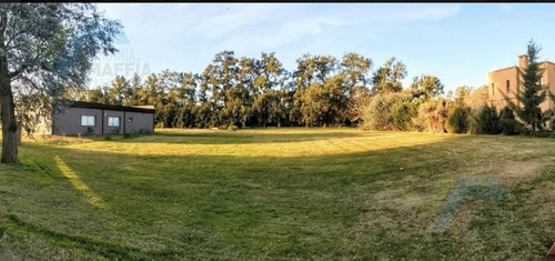Imagen 3 de 9 de Terreno - Casuarinas Del Pilar