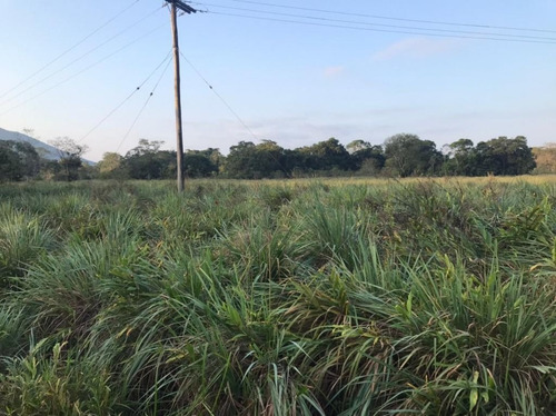 Imagem 4 de 29 de Fazenda À Venda, 3509000 M² Por R$ 2.000.000 - Centro - Pariquera-açu/sp - Fa0216