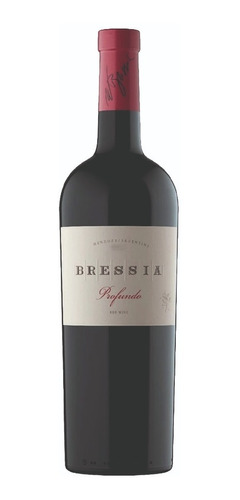 Vino Tinto Bressia Profundo Blend 750 Ml 