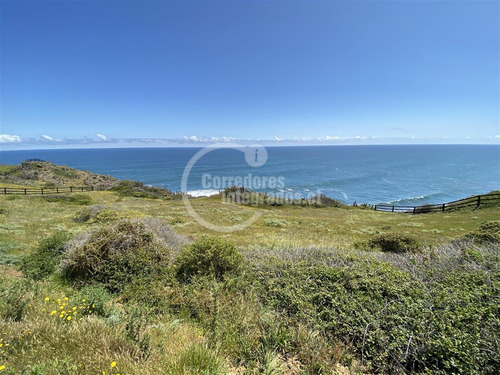 Sitios Venta, Entre Topocalma Y Pichilemu, 5.000 M2, Vista