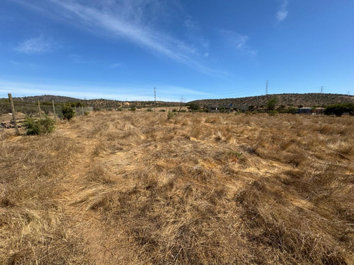 Se Vende Hermosa Parcela De 5.600 M2 Planos En Limache