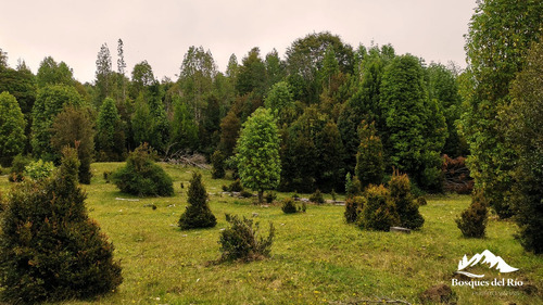 Venta Parcela Centro De Puerto Varas - Puerto Varas