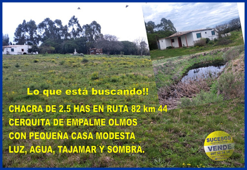 Sucesos Vende Chacra En Empalme Olmos Ruta 82 Km 44 - Chacra Se 2.5 Has Con Casa Modesta, Luz Y Agua