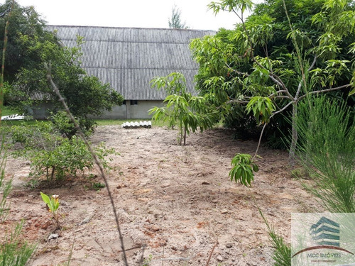 Imagem 4 de 7 de Granja A Venda Na Lagoa Do Bonfim