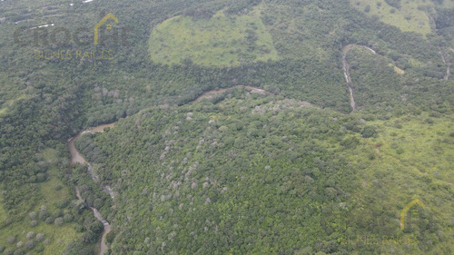 Terreno En Propiedad De 10 Ha Con Río, Cascada Y Banco De Cementante En Cerro Gordo Veracruz