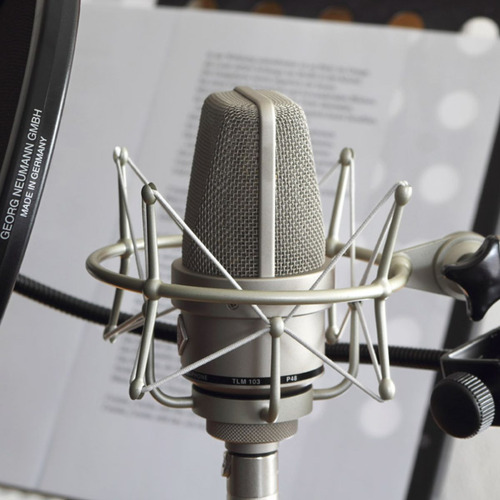 Microfone Condensador Neumann Tlm 103 Studio Set