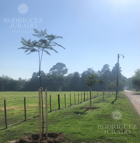 Loteo En Barrio Abierto En San Antonio De Areco Con Financiación
