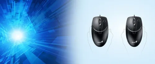 Mouse Optico Genius Netscroll 120 Negro