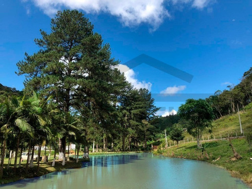 Imagem 10 de 30 de Lindo Sitio, Com 03 Nascentes! Ideal Para Lazer E Criação. - 118 - 69225614