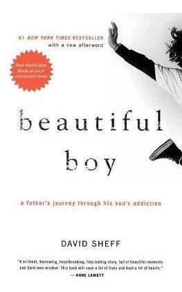 Beautiful Boy - David Sheff (paperback)