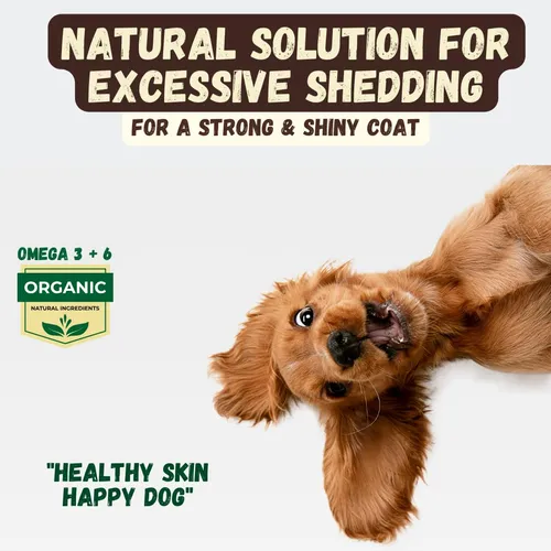 Reduccion De Pelo Suelto En Perros Con Aceite De Coco Y Mant