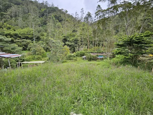 ¡tu Lote En El Campo Te Espera!