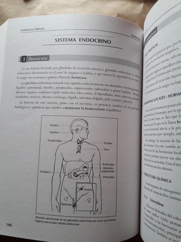 Imagen 10 de 10 de Libro De Anatomia Lumbreras