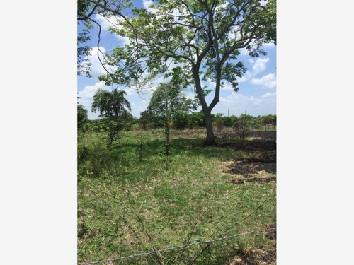 Imagen 8 de 12 de Rancho En Venta Potrerillo