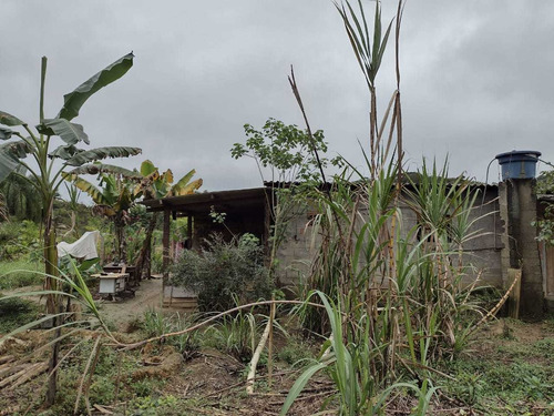 Imagem 5 de 14 de Chácara De 1 Alqueire De Terra Com Casa Simples Em Juquia Sp