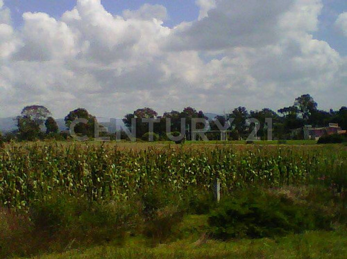 Venta Deterreno En San Martín Texmelucan Mpio. San Matias Tlalancaleca