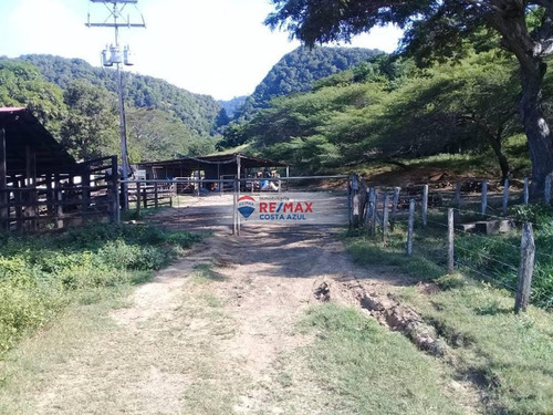 En Venta Extensa Finca San Agustin De 369 Hectareas De Capacidad Maxima Aprovechada De 1500 Animales De Engorde, Ideal Para Levante, Engorde, Leche Y Siembra.