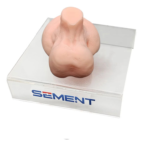 Modelo De Entrenamiento Con Punción, Biopsia Testicular Por
