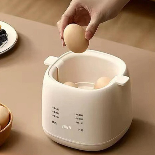Hervidor De Huevos Eléctrico Rápido, Hervidor De Huevos