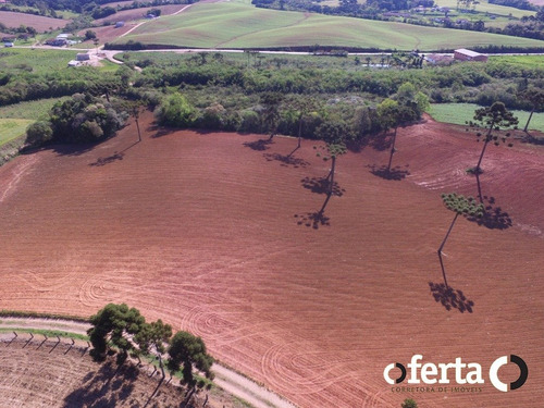 Imagem 6 de 14 de Chacara - Campo Redondo - Ref: 165 - V-165