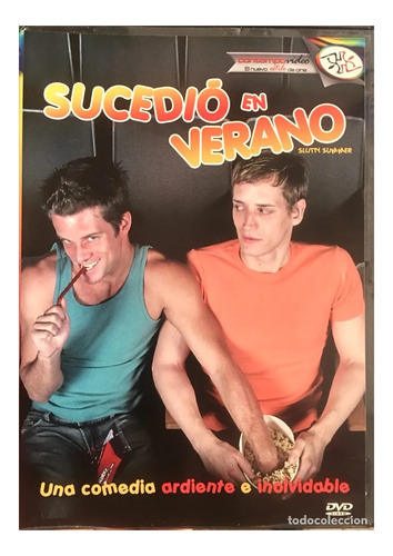 Sucedio En Verano/ Slutty Summer Pelicula Dvd (Usado)