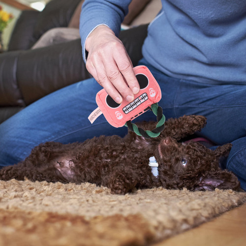 Radio De Peluche Para Perros, Masticables, Cachorros Y Gatos
