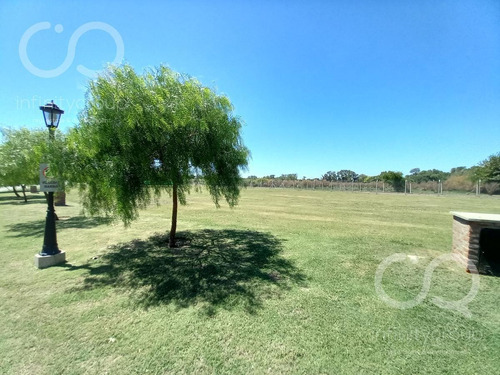 Imagen 9 de 22 de Terreno - San Ramiro