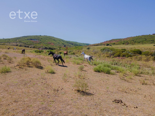 Imperdible Chacra En Venta En Las Sierras (ref: Jpd-1289)