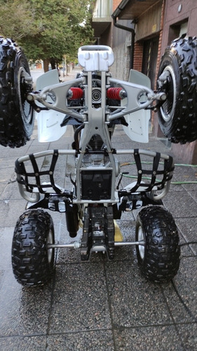 Imagen 13 de 13 de Honda Fourtrax Trx 300 X