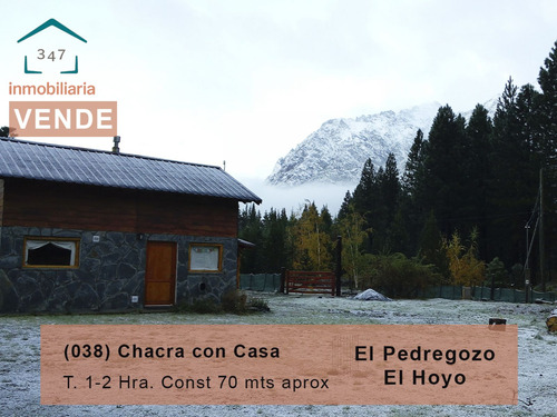 (038) Chacra Con Casa, En El Pedregoso, Árboles Nativos